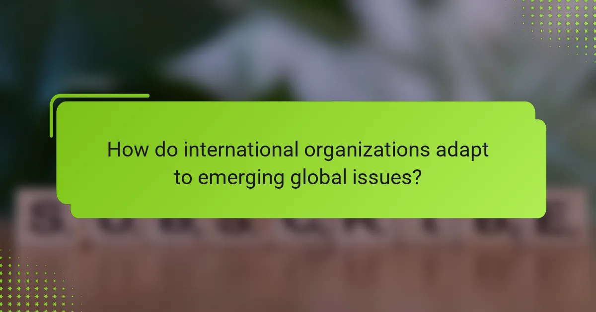 How do international organizations adapt to emerging global issues?