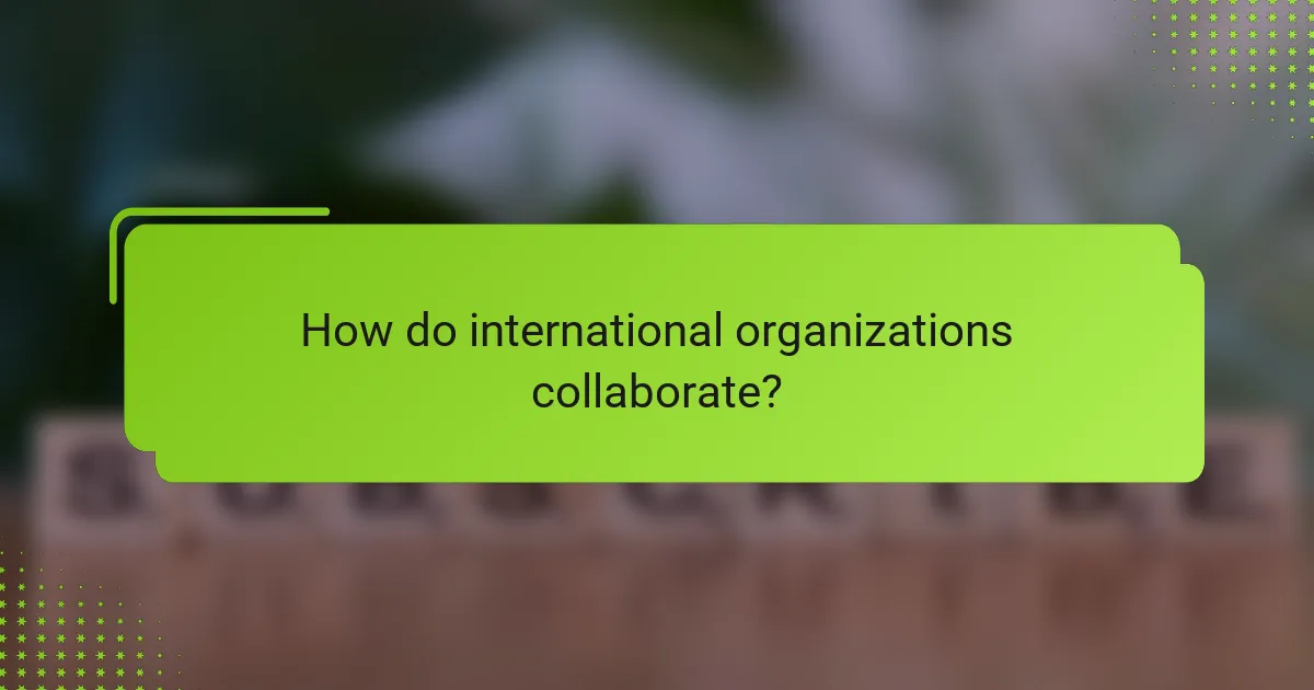 How do international organizations collaborate?