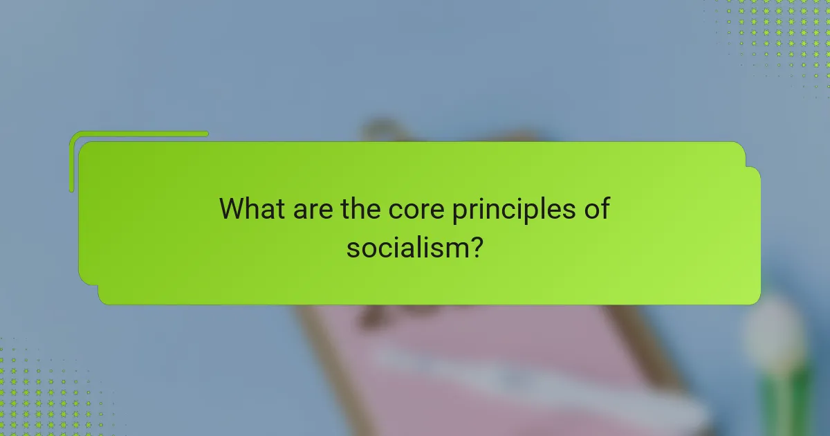 What are the core principles of socialism?