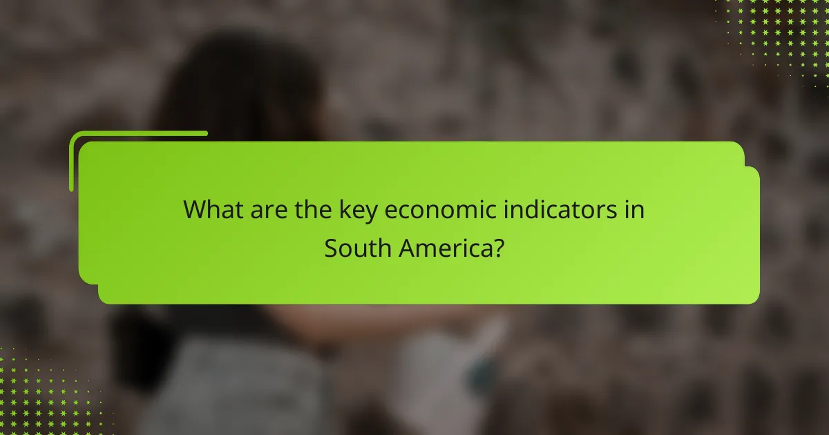 What are the key economic indicators in South America?
