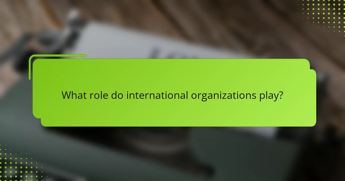 What role do international organizations play?
